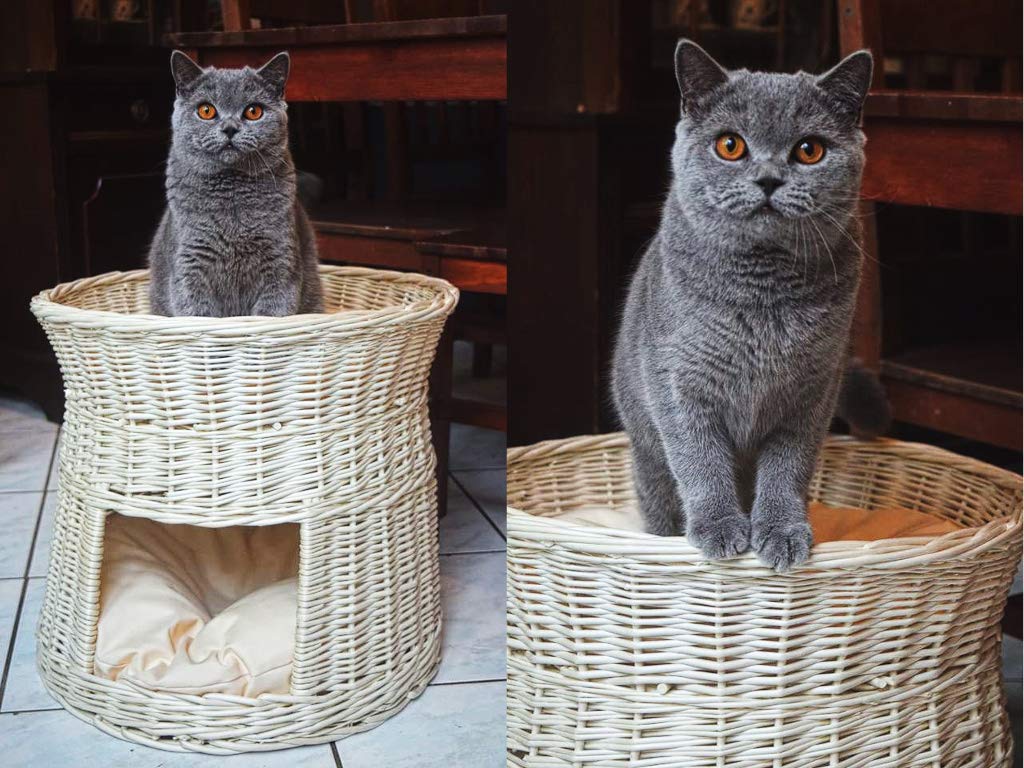 Katzenkorb zum Schlafen – Katzenhütte Indoor – Größe: 50 cm rund – Katzenhöhle aus Weide – Zweistöckiges Katzen oder Hundebett in Weiß – Kissen Ecru
