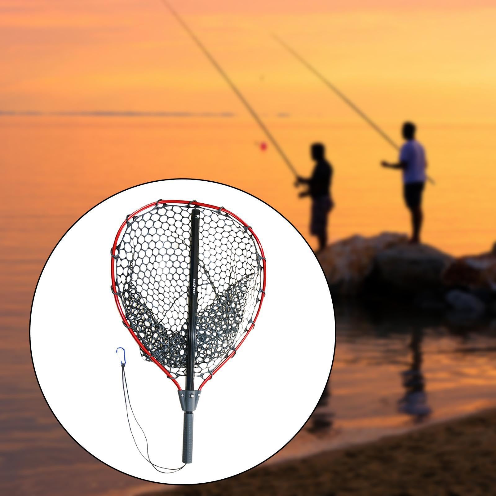 Épuisette télescopique rétractable pour la pêche au Saumon, au Bar et Poisson-Chat. Facile à grâce à Son système de Pliage et sa Conception