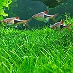 Review Image by Saul Martinez Saul Martinez