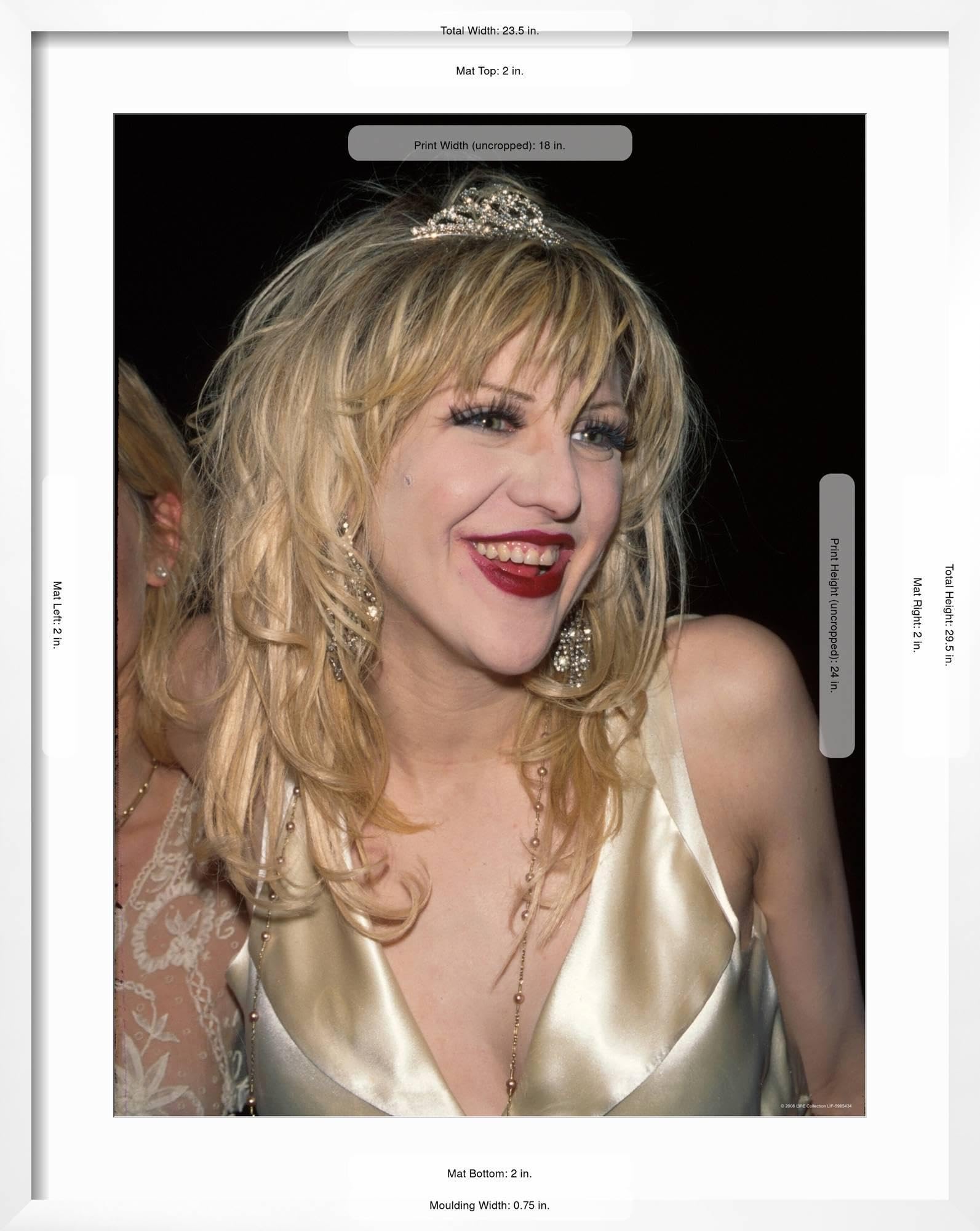Amazon.co.jp: AllPosters ウォールプレミアム写真プリント コートニー