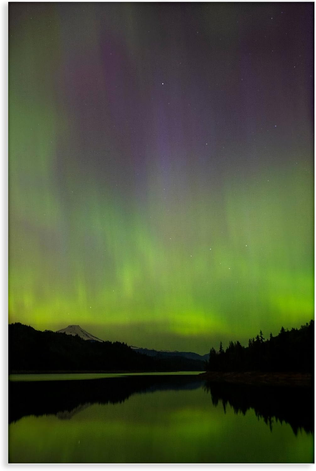 Stupell Industries Green Aurora Landscape Canvas Wall Art, design by Nancy Crowell, 20 x 30