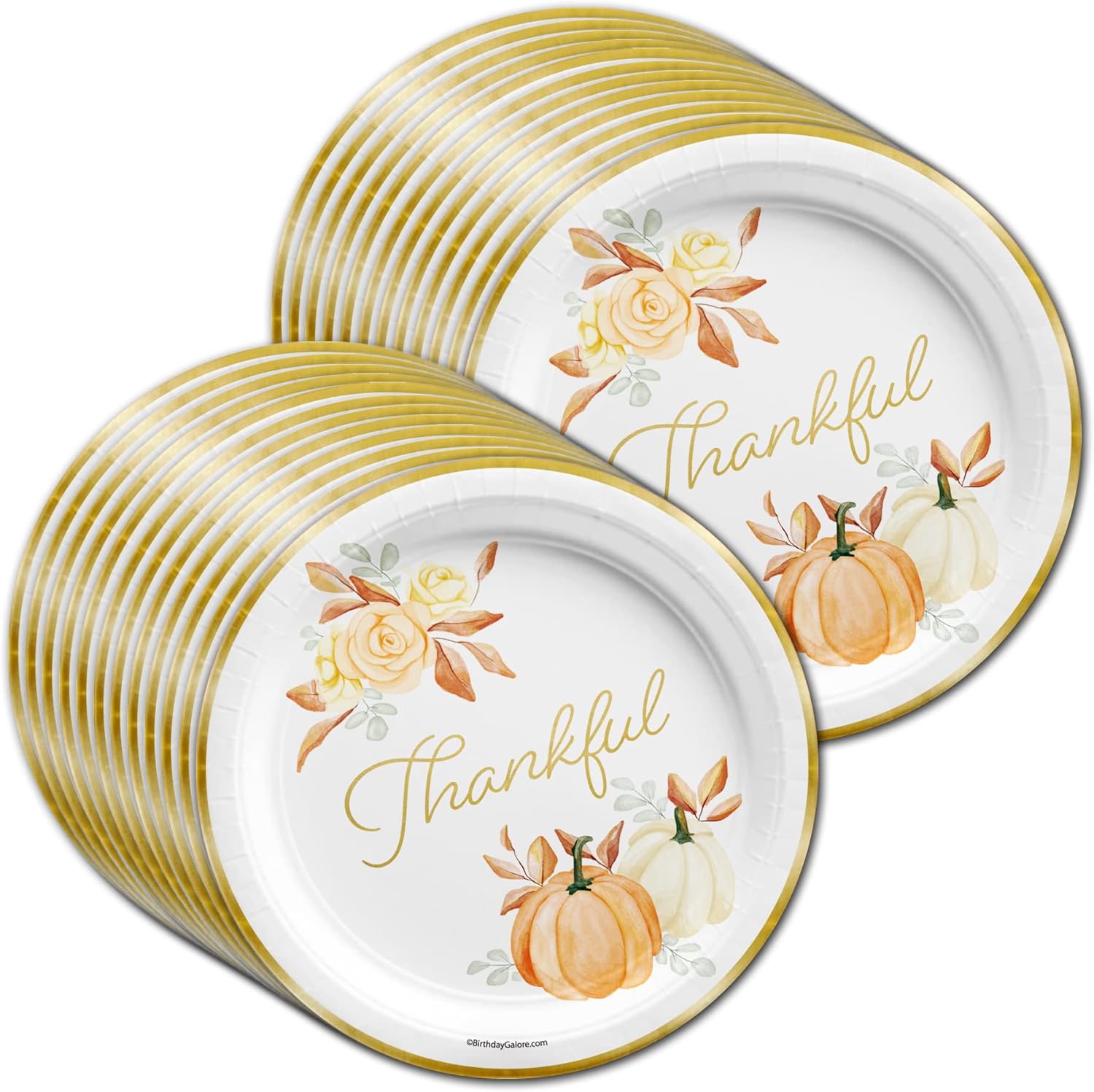 Thanksgiving Fall Party Supplies - Pumpkin Paper Plates and Napkins - Holiday Tableware Set for 24 | Kit Includes Plates, Napkins