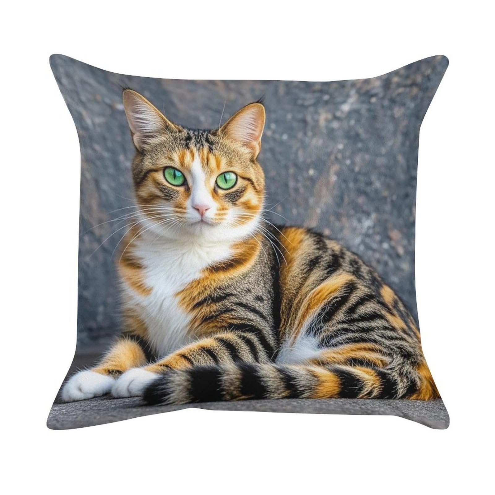 FekiLoot Cat Pillow Covers Luxury Velvet Square Pillowcases Throw Pillows Case with Invisible Zipper Decorative Velvet Cushion Covers Ultra Soft Lumbar Pillow Shells