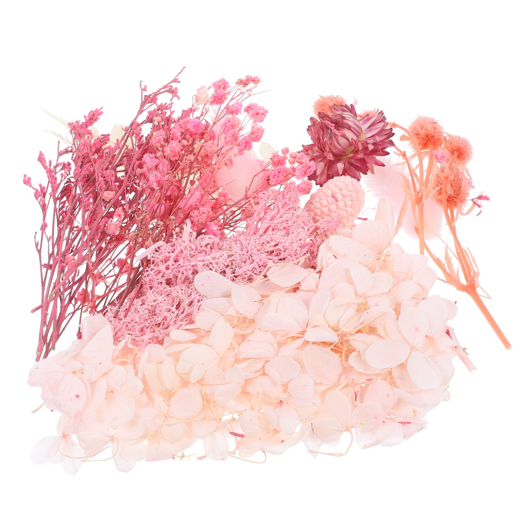 COHEALI 3 Set Di Fiori Pressati Secchi Per Larte in Resina Petali Di Fiori Naturali Per Decorazioni Materiale Artigianale Squisito