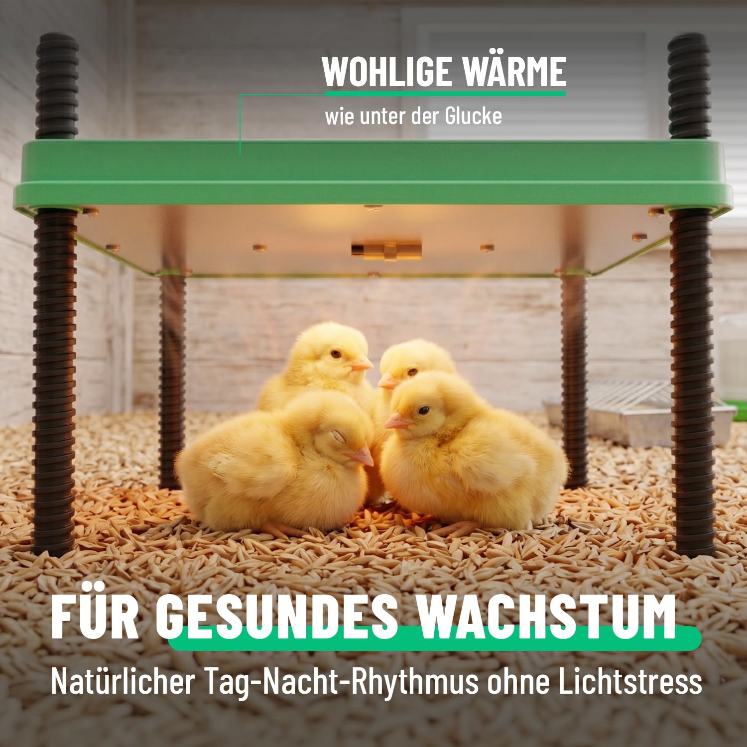 Produktbild von Greate Wärmeplatte Für Küken 80W – 30x30 Cm, Höhenverstellbar, Temperatur 10–70°C, LED-Anzeige, Für Hühner & Wachteln