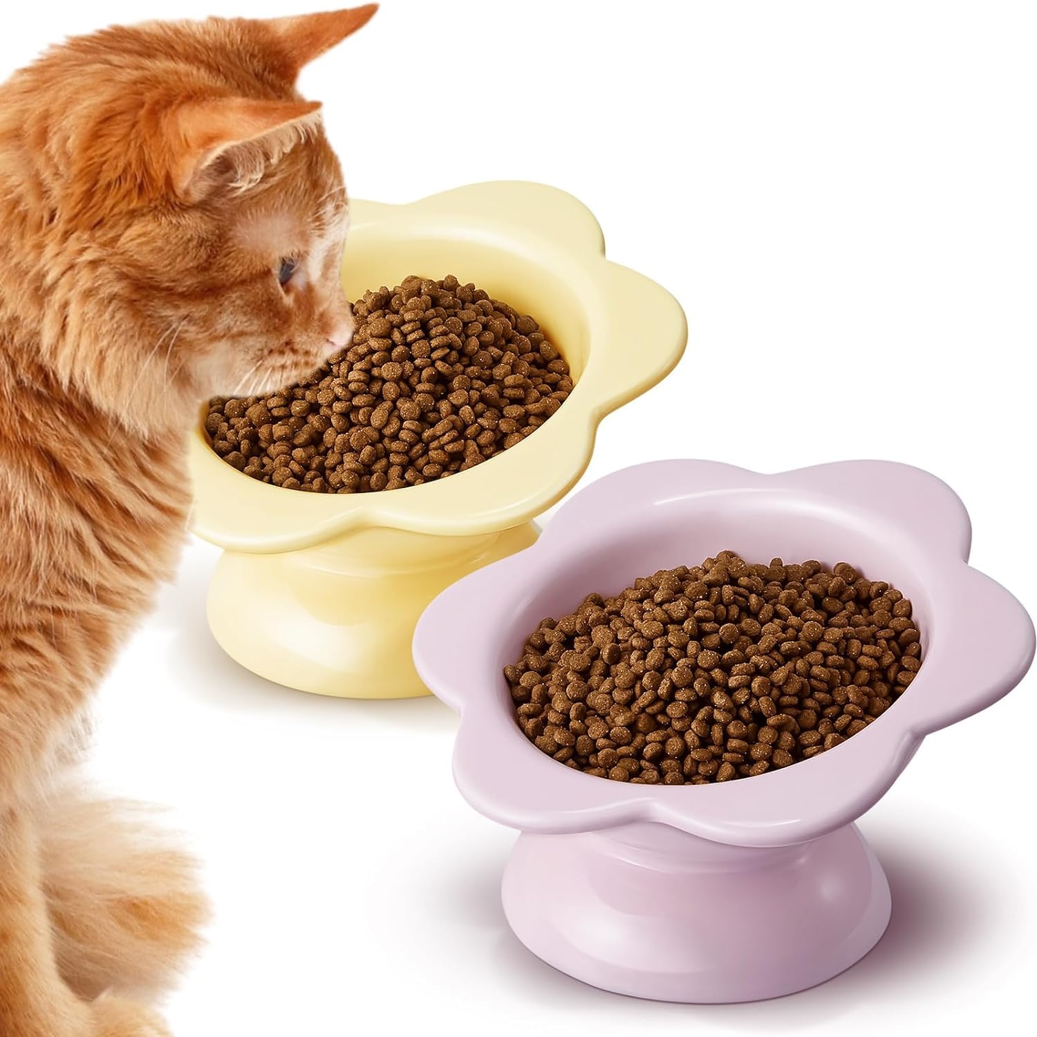 KUTKUT 2Pcs Ceramic Raised Cat Food Bowl, Tilted Flower Shaped Food or Water Bowl for Cats and Small Dogs, Anti Vomiting Pet Feeder Dish Whisker Fatigue Cat Bowl (Capacity: 200ML) (B0CPV13YPK) Amazon Price History, Amazon Price Tracker