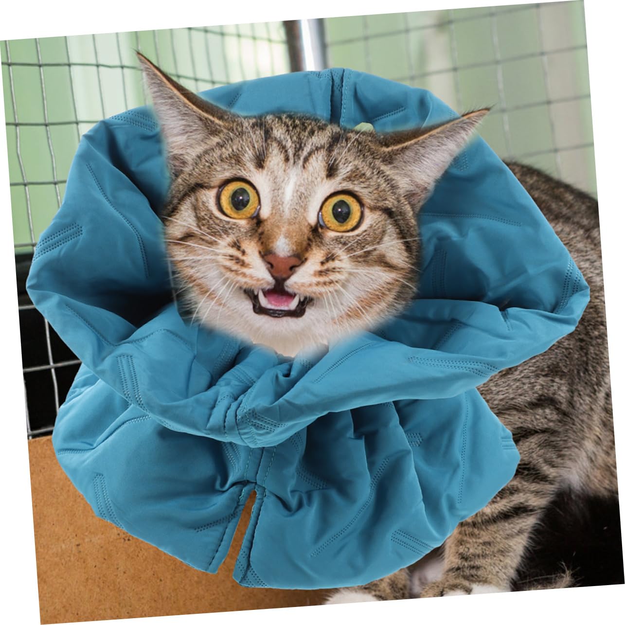 BESPORTBLE 3pezzi Collare Elisabettiano Morbido Per Gatti Protezione Post-operatoria Comfort Assoluto e Design Elegante Per Prevenire Leccature Sfumato