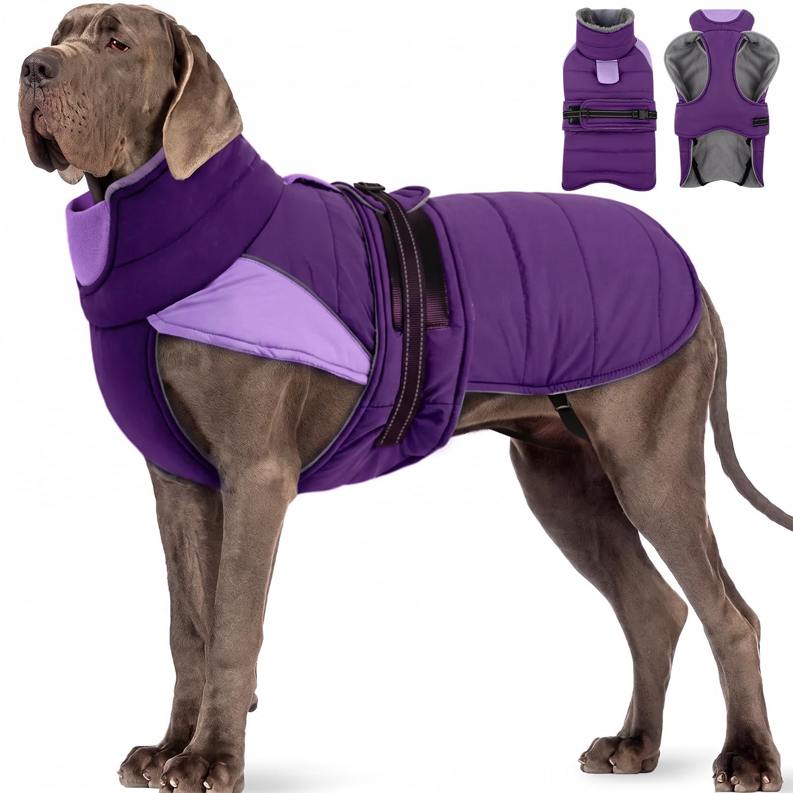 MIGOHI Warm Large Dog Jacket,Waterproof Dog Winter Coat, Purple, XXXL