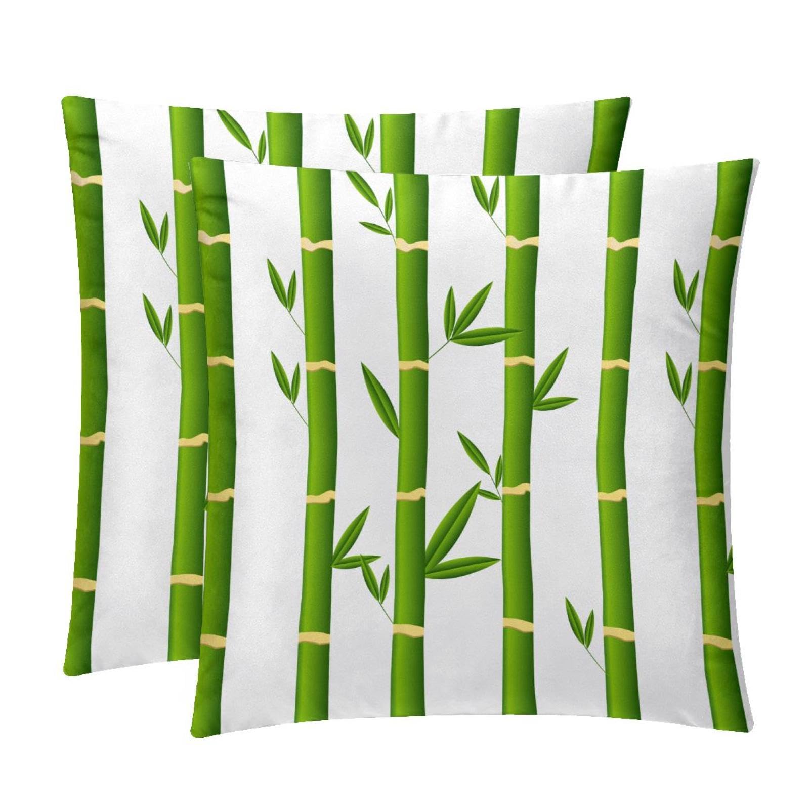 TDGKPZ Throw Pillow Covers 2 Pack Cushion Cases Decorative Pillow Cases Home Decor 45x45cm