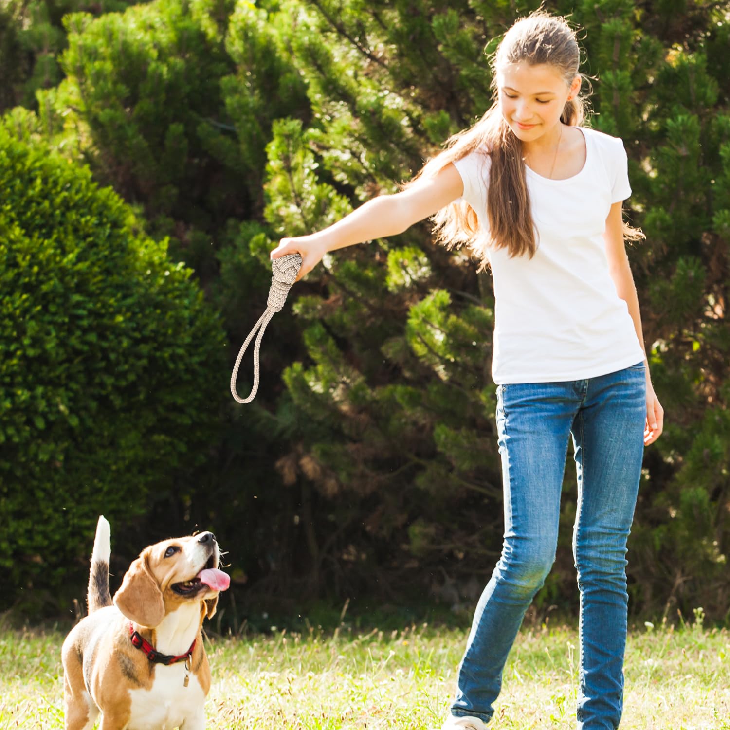 Dog Rope Tug of War Toys for Large, Medium and Small Dogs. 1 Pack Natural Cotton Toys for Teething.Flosses Teeth, Premium Beige Knot, Gum Stimulation for Teething Puppies.