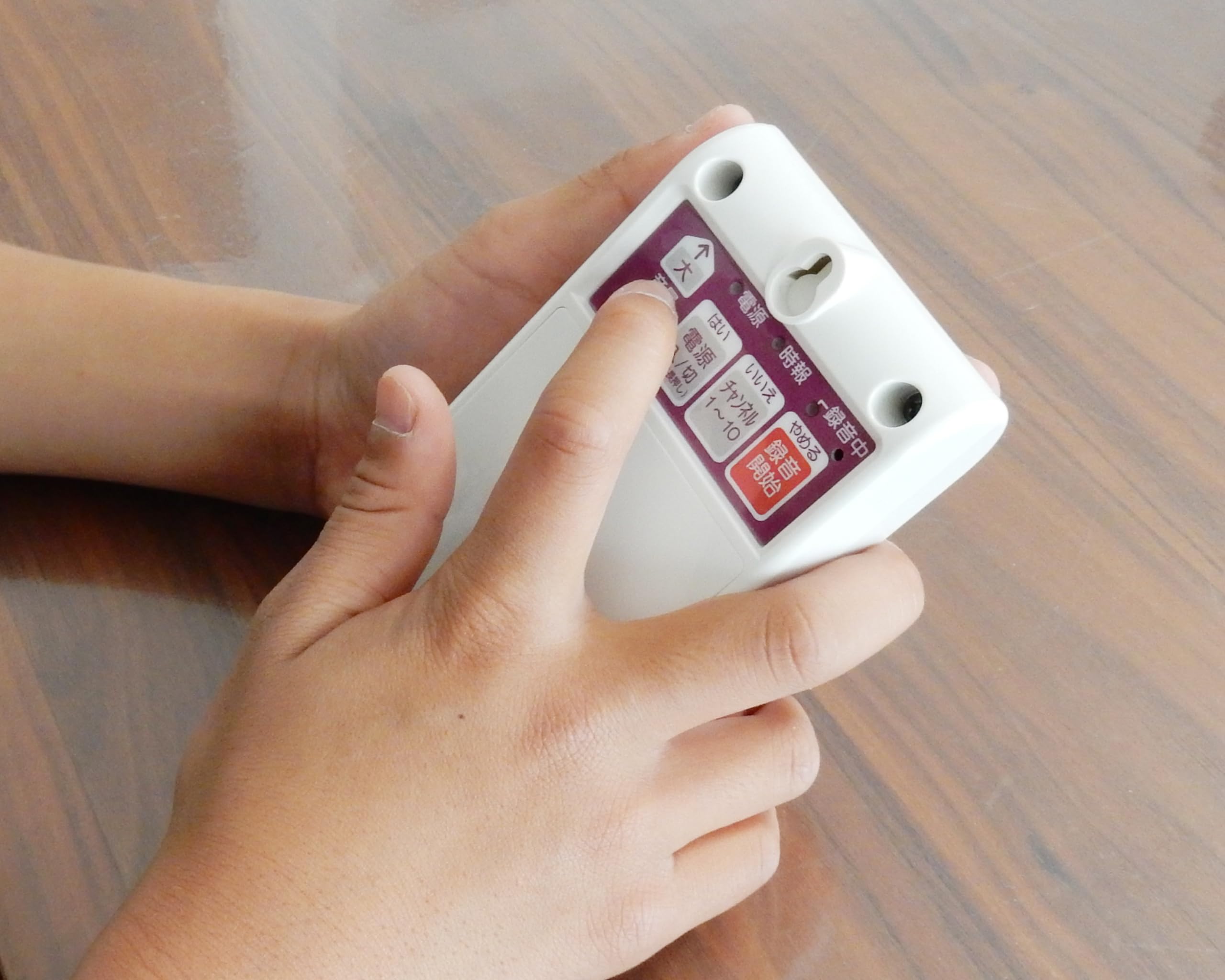 Amazon.co.jp: 群馬電機 時間だよ! おしらせとうばん みけ おしゃべり