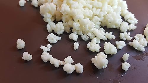 Miniatura 6 de Fermentador de kéfir 1.5L50oz con recipiente grande (120cc) con granos KEFIR