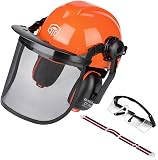 Forestry Safety Helmet System with Mesh Visor