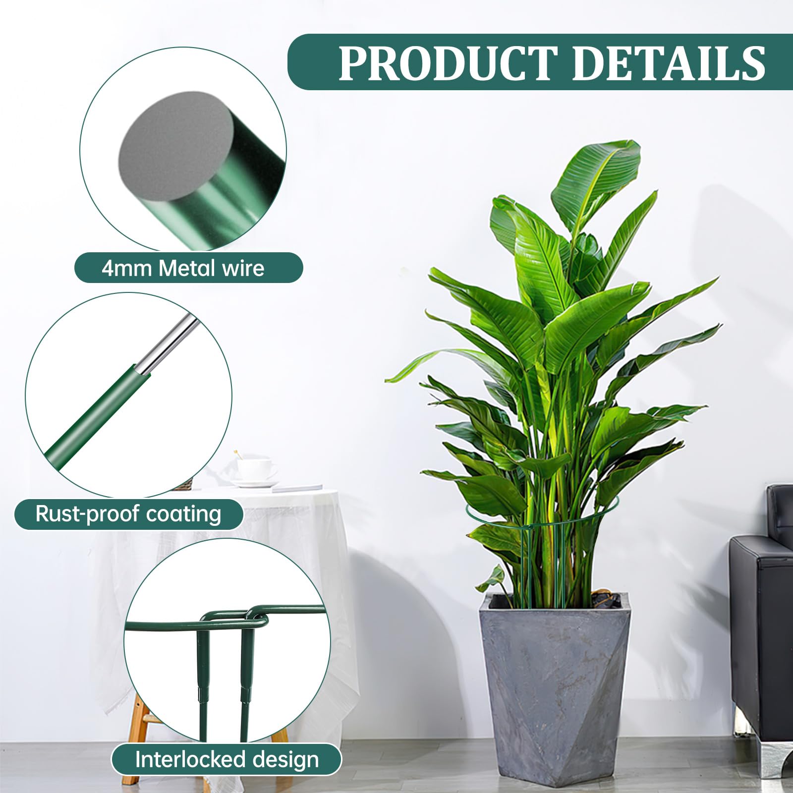 10 Pièces Tuteurs pour Plantes, 25 * 60CM Demi Rond Supports de Plantes Réglables, Jardin Plantes Support Pile Anneau Cage, Anneaux de Support en Métal Demi Ronds pour Pivoines Hortensias Roses Sédum