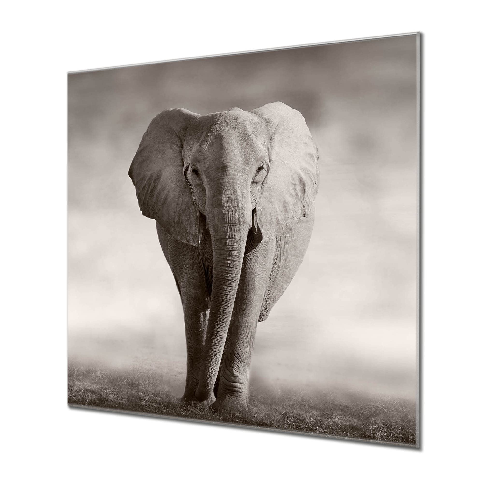 banjado Glas Magnetwand 80x120 mit Waldmotiv für Notizen, beschreibbar | Natürliches Magnetboard für Alltag und Planung, mit Motiv Gardasee aus Wald und Natur