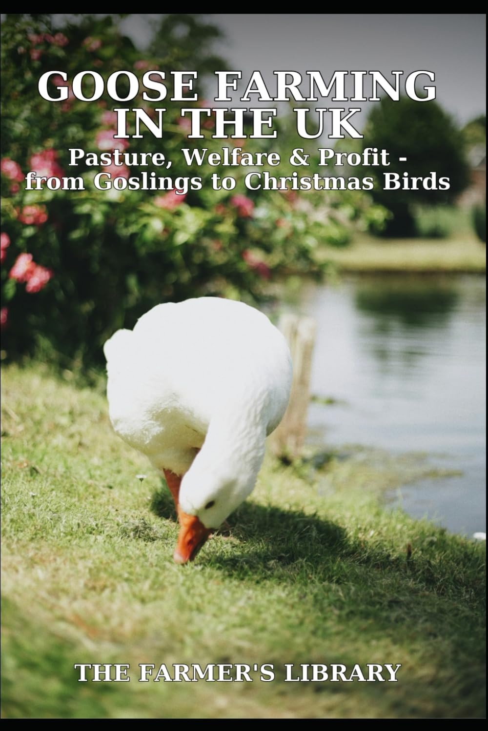 Goose Farming in the UK for Beginners: A Practical Guide to Pasture, Welfare, Grazing, Growth, and Profitable Christmas Goose Production