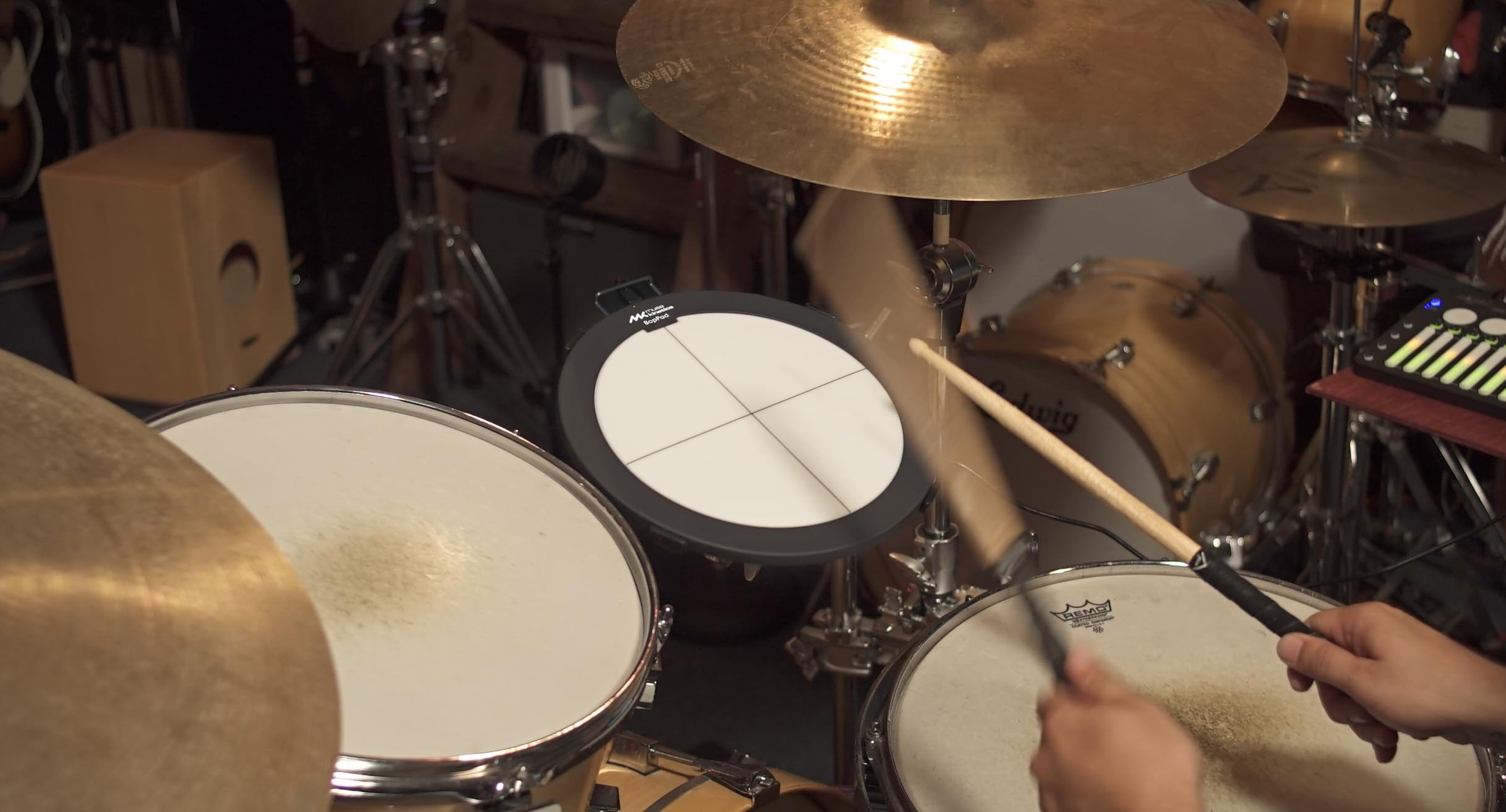 Amazon.com: Muse Kinetics Instrument BopPad | USB-C MIDI
