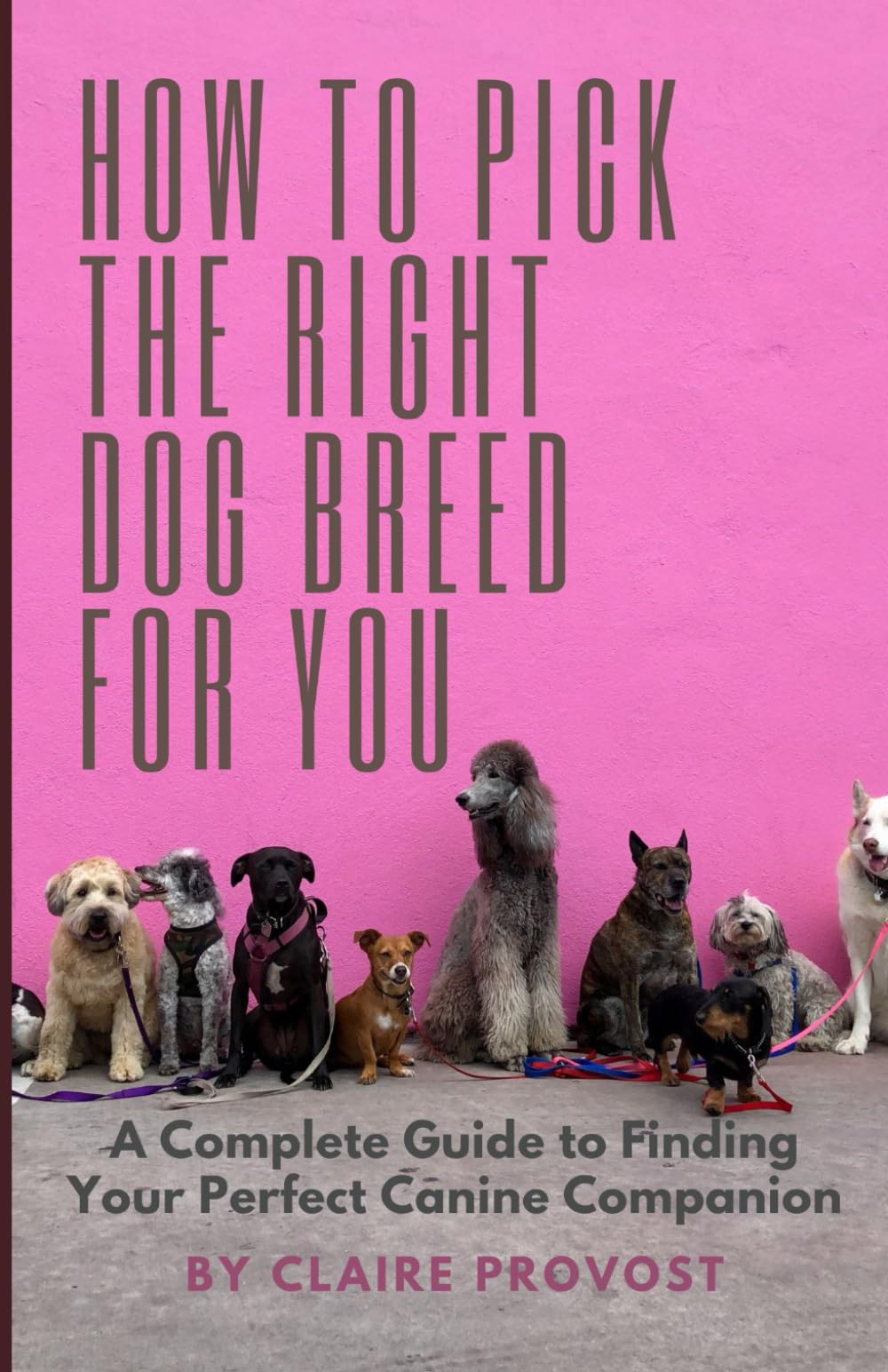 How to Pick the Right Dog Breed for You: A Complete Guide to Finding Your Perfect Canine Companion