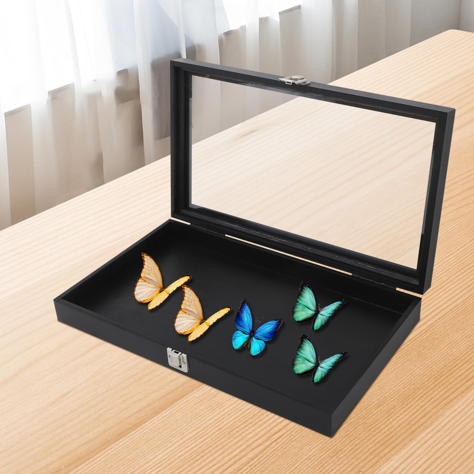 Gatuida Caja de Madera para Exhibición de Insectos con Tapa Transparente y Cerradura, Diseño Elegante para Protección y Fácil Acceso en Decoración Interior