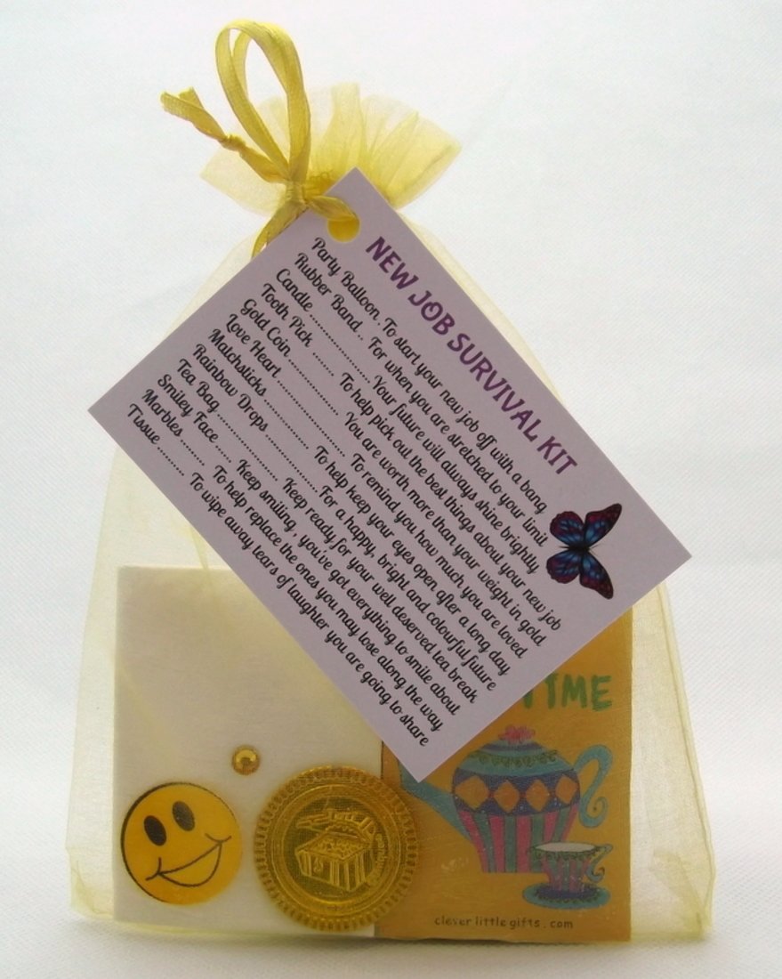 Job Survival Kit Gift for New Career, Promotion Leaving Present by clever little gifts (Gold)