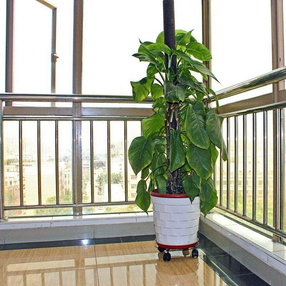 View 8