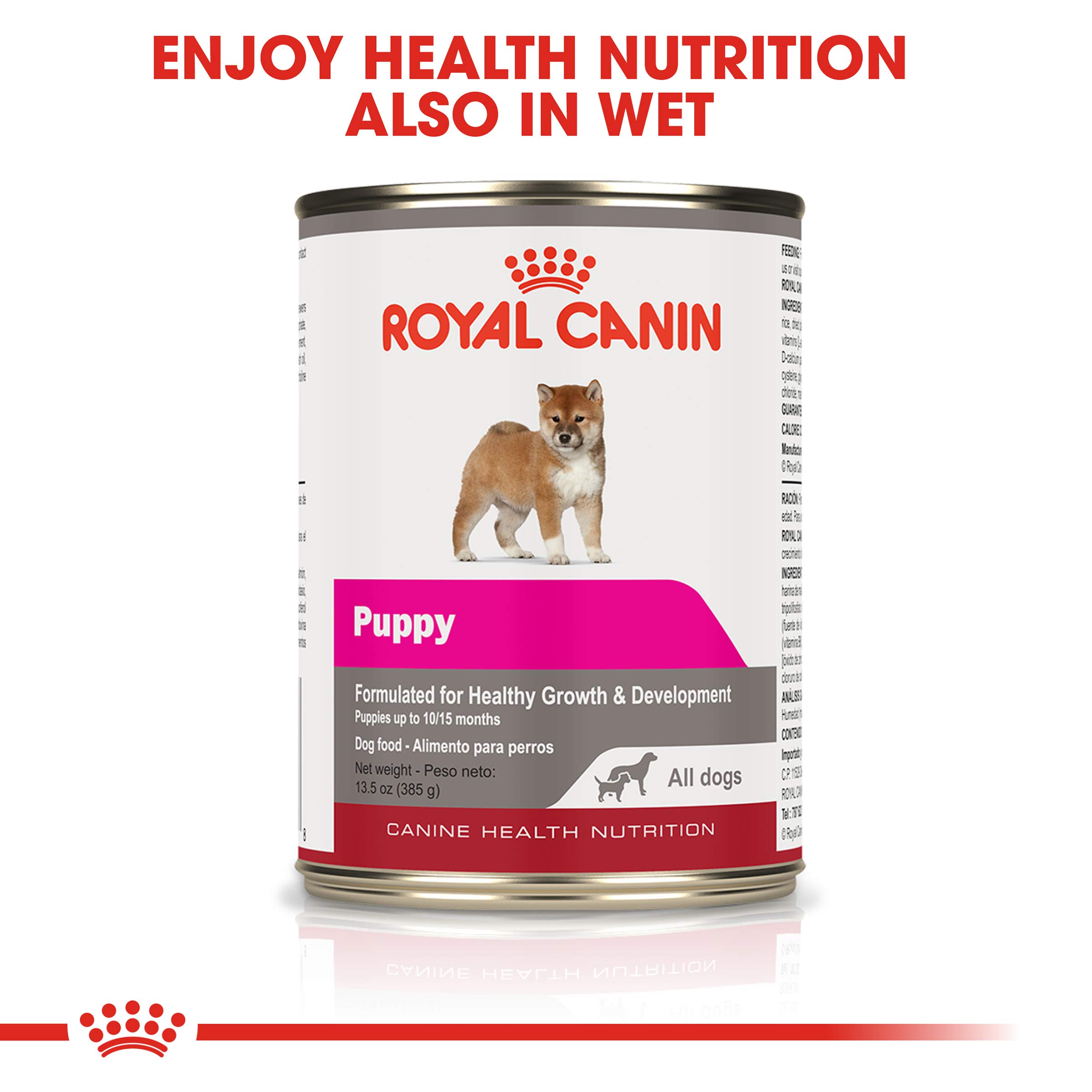 Royal Canin Size Health Nutrition Large Puppy Dry Dog Food Buy Online