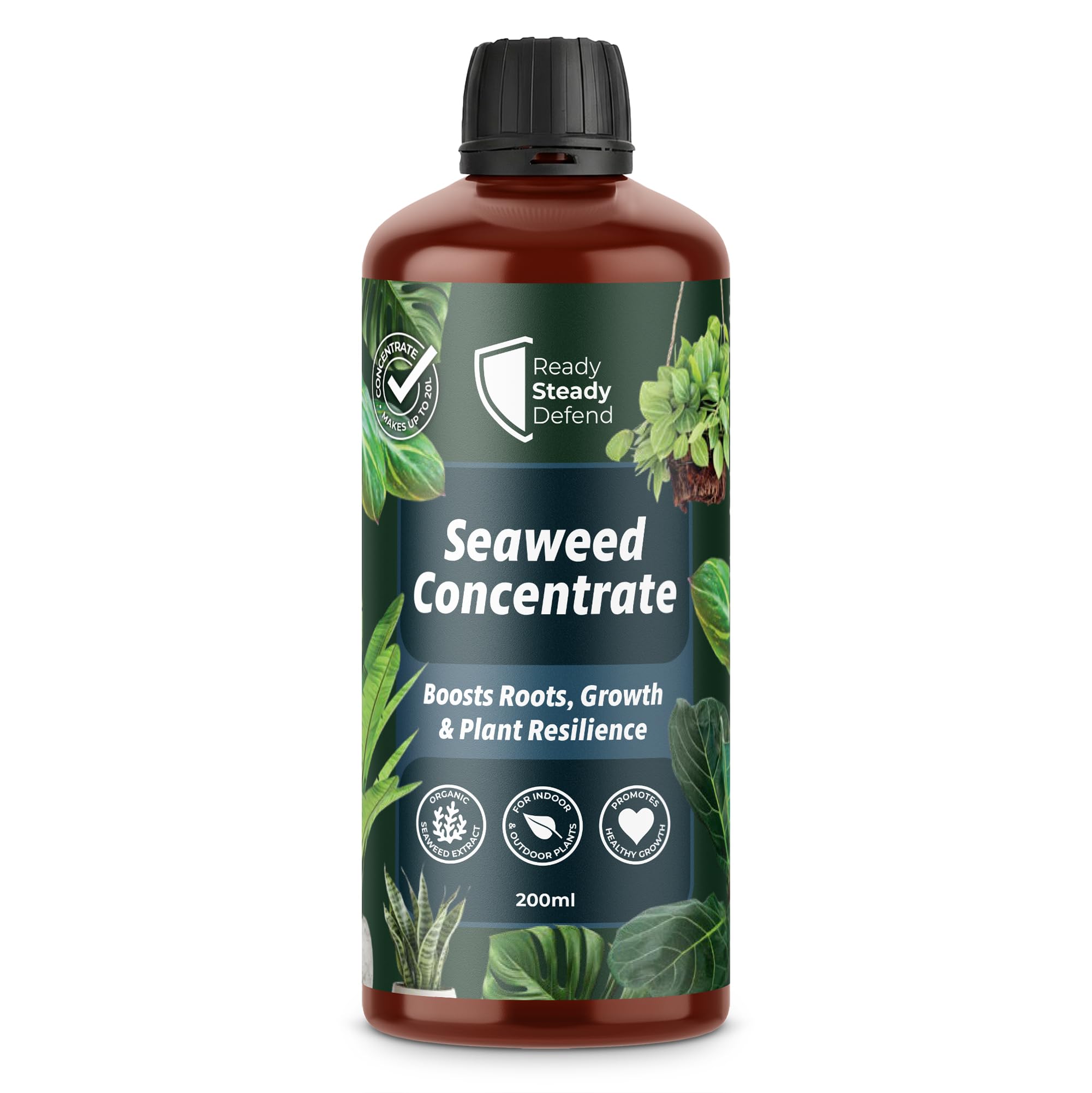 Seaweed Concentrate 200ml | Organic Ascophyllum Nodosum Seaweed Extract Plant Food | Liquid Fertiliser & Foliar Feed for Indoor & Outdoor Plants | Boosts Roots, Growth, Resilience | Makes Up to 20L UK