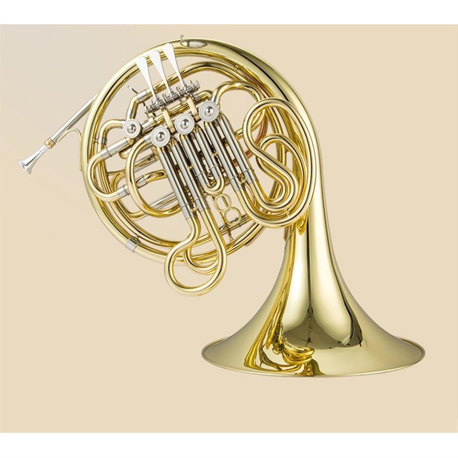 Amazon | 初心者 フレンチホルン 4キースプリットダブルホルン楽器 B