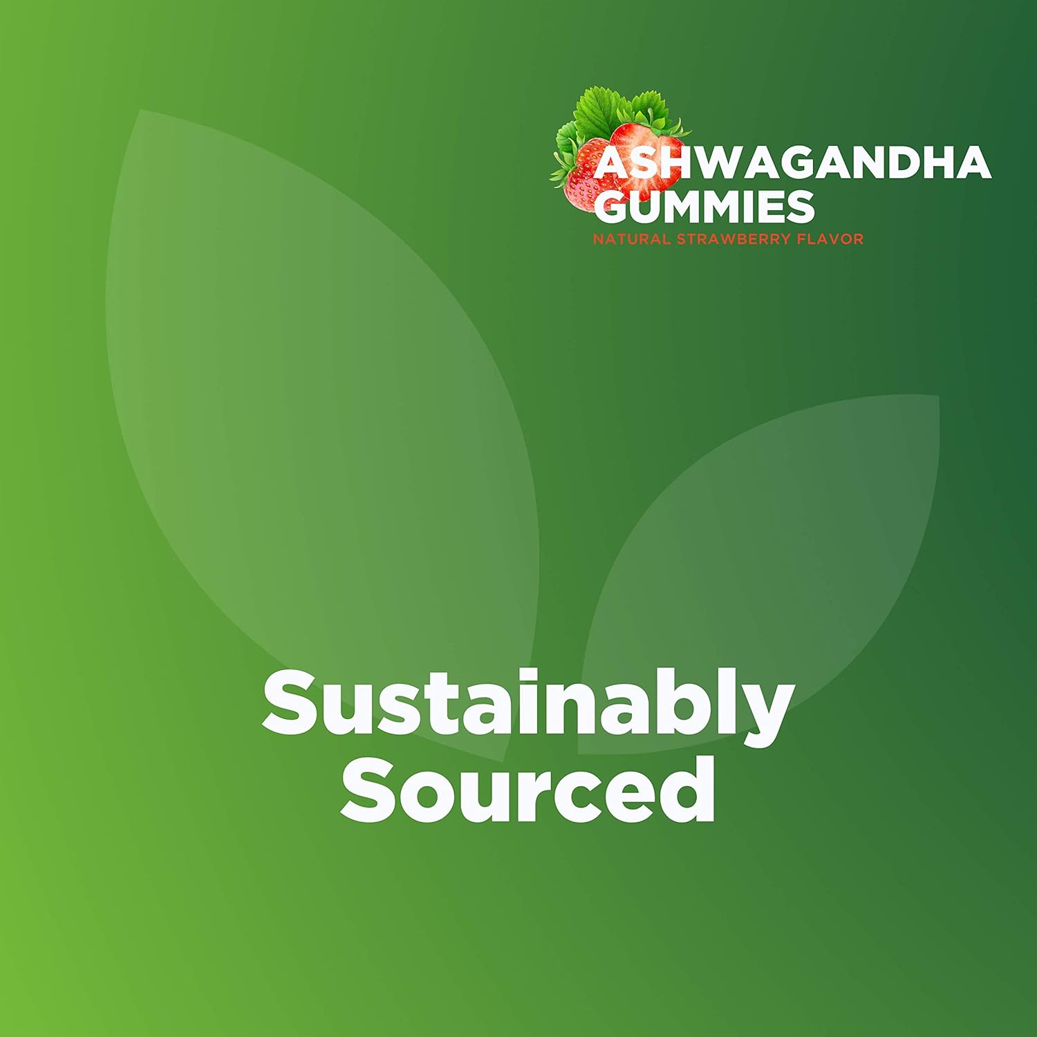 Ashwagandha Gummies from Proverde Health | Supports Reduced Stress & Improved Mood | Supports Healthy Weight Management | Cruelty Free & Made in The USA | 60 Count : Health & Household