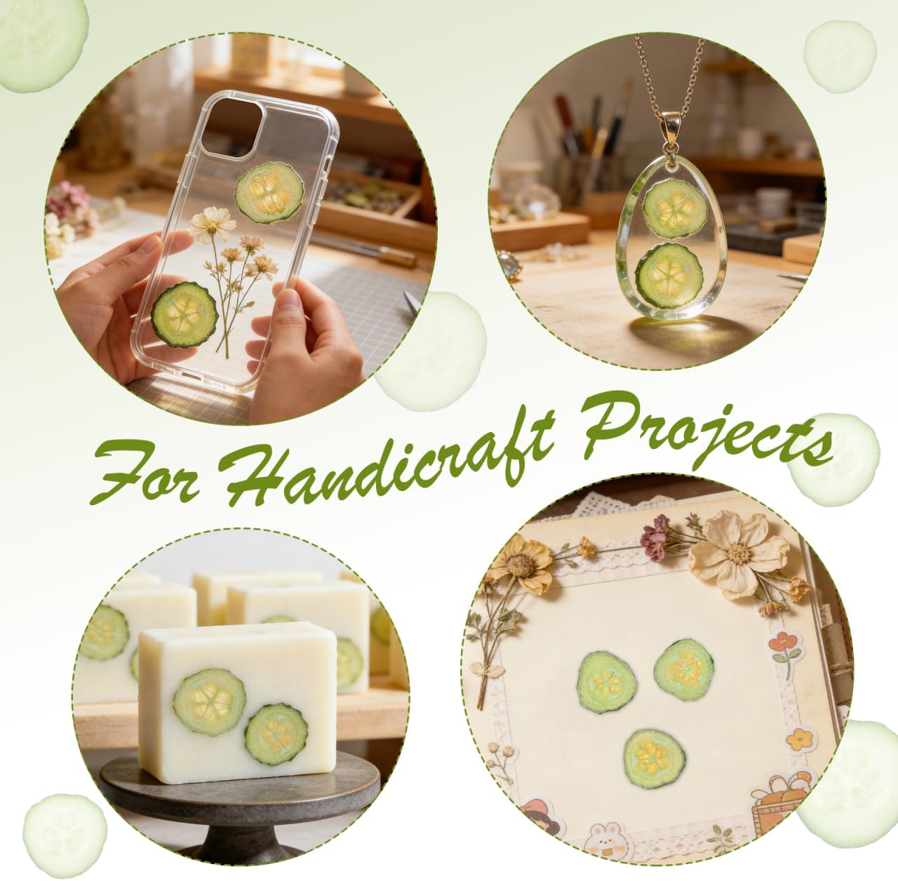 Milisten 12 Pcs Real Dried Cucumber Slices, Natural Pressed Fruit Vegetables Slices for Resin Mold, DIY Crafts, Green Pressed Flowers Botanical Specimens for Nail Art, Soap, Candle Making (1.34 Inch)