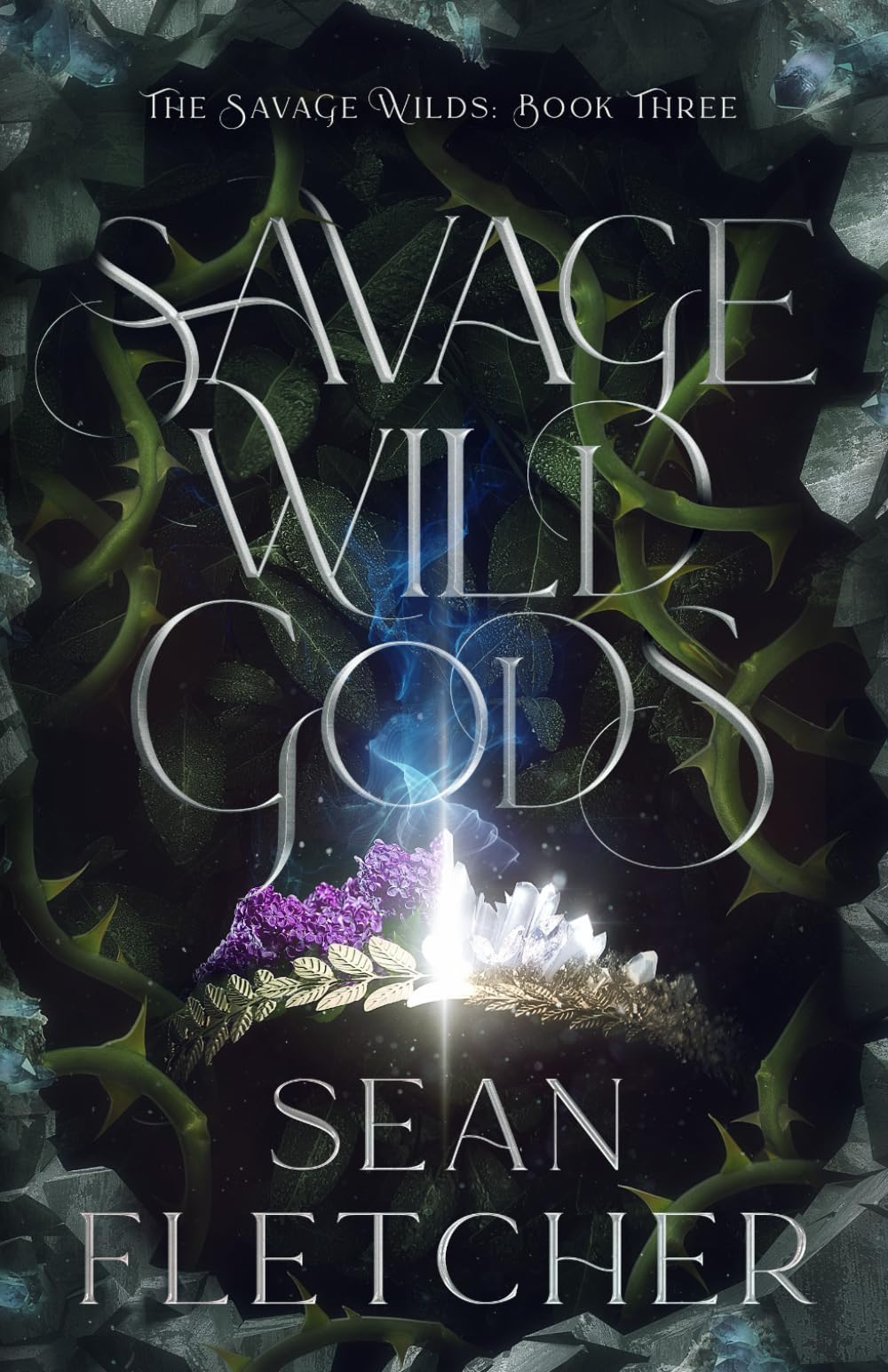 Savage Wild Gods: 3 (The Savage Wilds)