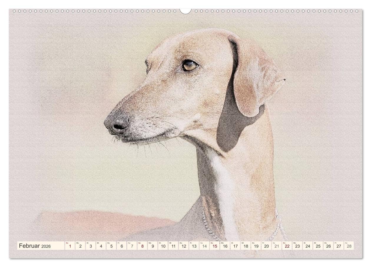 Windhunde 2026 (Wandkalender 2026 DIN A2 quer), CALVENDO Monatskalender: Windhunde - Wunderschön gestalteter Kalender. Jedes Monatsmotiv gleicht einem kleinen Kunstwerk. (CALVENDO Tiere)