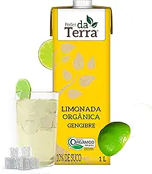 PODER DA TERRA - Limonada Orgânica com Gengibre - Bebida Natural, Sem Conservantes, Sem Glúten - Ingredientes Naturais - 1L