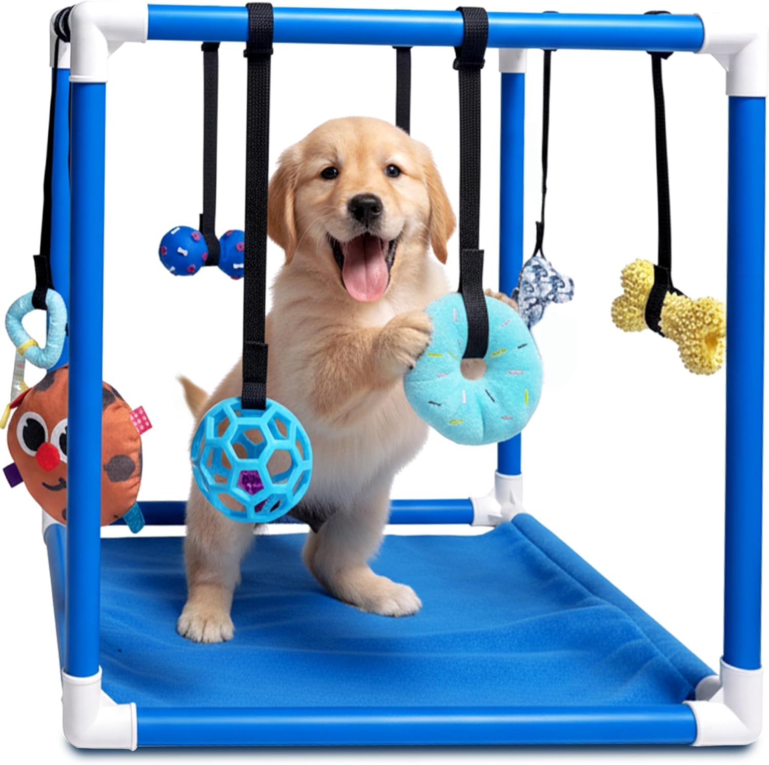 Race&Herd Puppy Play Gym, Dog Play Mat, 8 Bungee Straps Interactive Puppy Active Toys - Small Dog Jungle Gym 19.5" Frame with Playground Set Indoor Enrichment Activity Center (Blue)