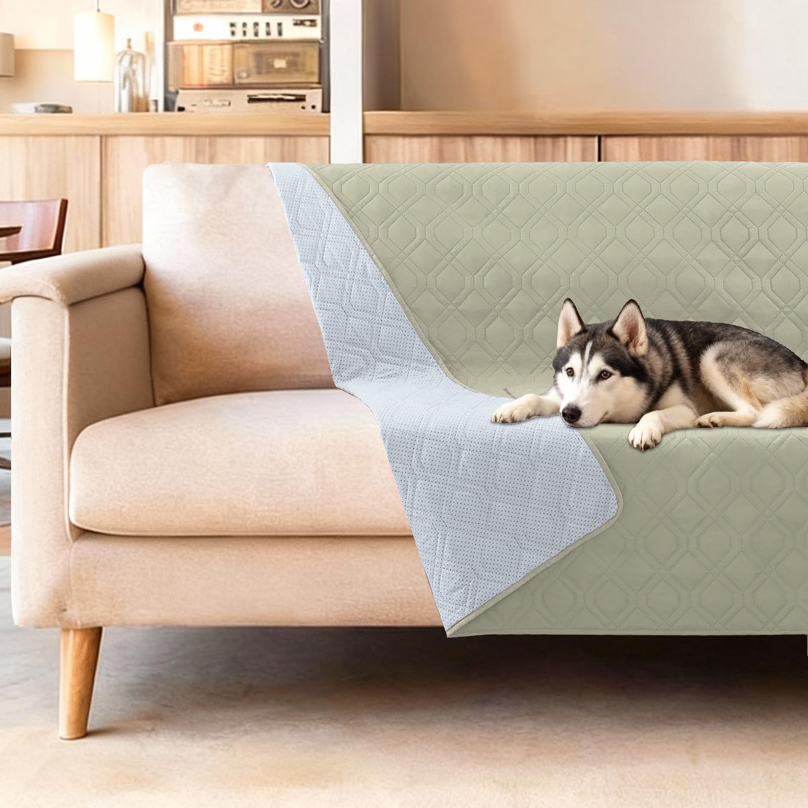 Couverture de lit imperméable pour chien : fini les taches sur le canapé