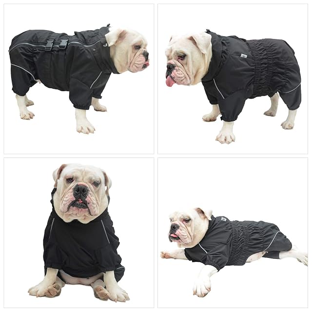 Foto 7 de 8 de Chaqueta impermeable para perros, chaqueta impermeable ligera reflectante de seguridad para perros