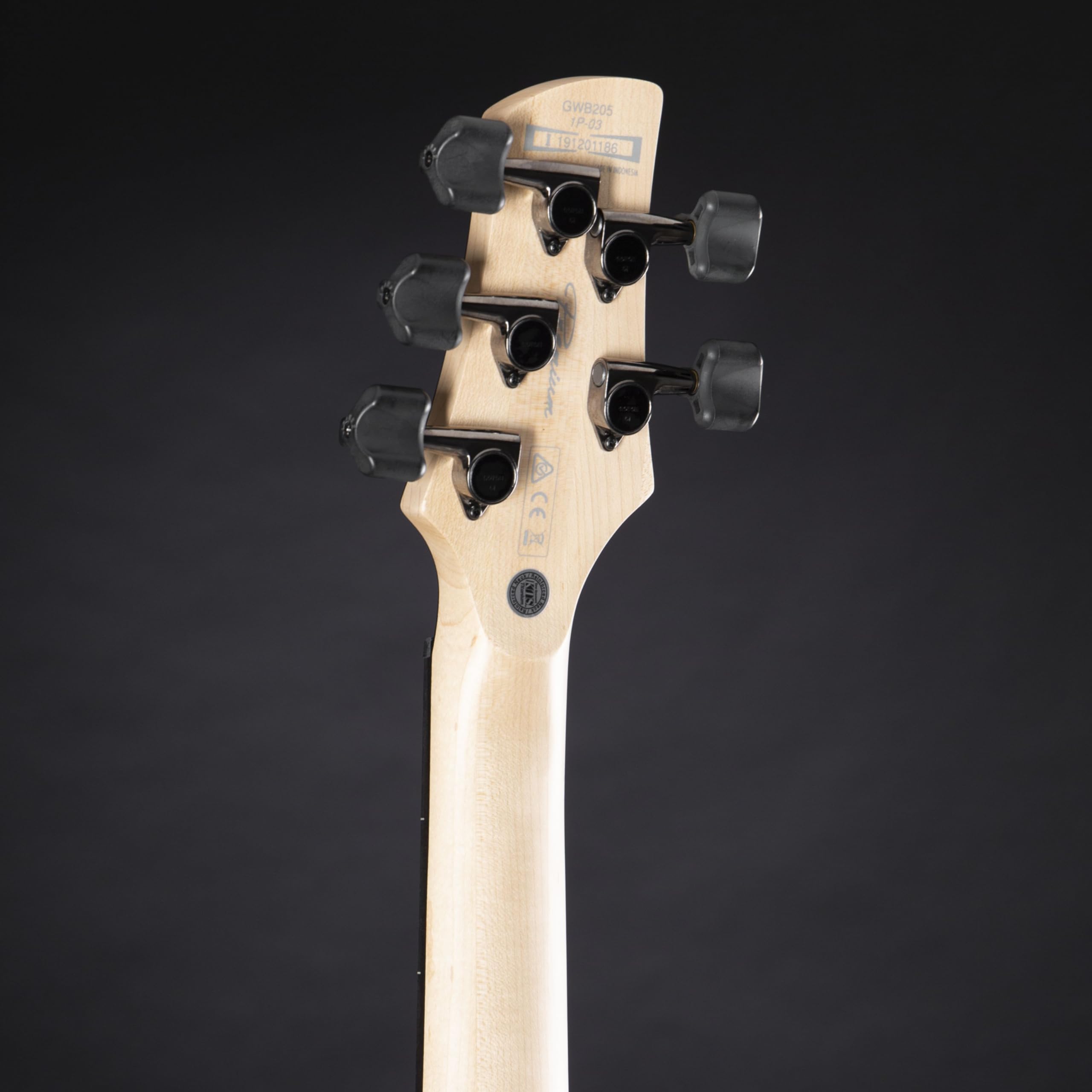 Amazon.com: Ibanez Gary Willis Signature GWB205 Fretless Bass