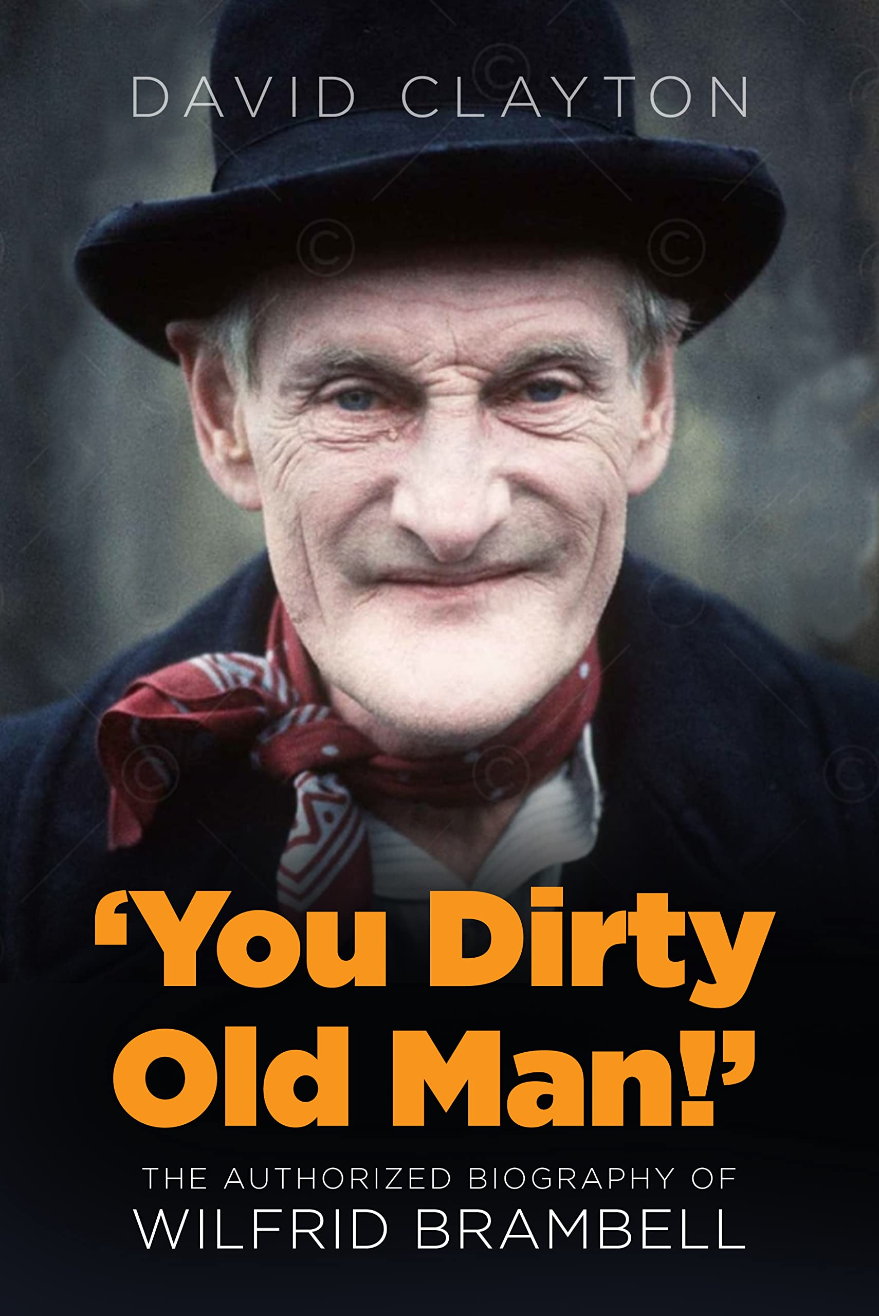 'You Dirty Old Man!': The Authorized Biography of Wilfrid Brambell: The Authorised Biography of Wilfrid Brambell