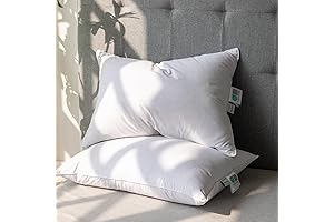 Alanzimo King Size Feather Pillows