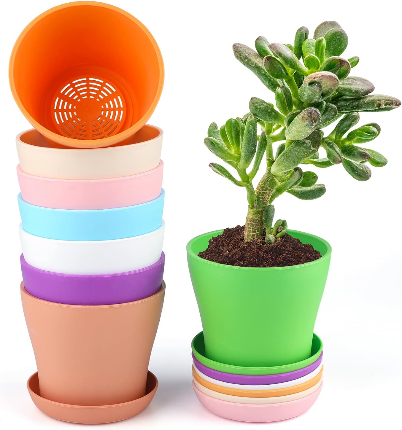 KINGLAKE 8 Pcs 4" Plastic Plant Flower Seedlings Nursery Pot/Pots Planter Colorful Flower Plant Container Seed Starting Pots with Pallet and Drainage Holes for Home Garden Flowers Plants,8 Colors : Patio, Lawn & Garden
