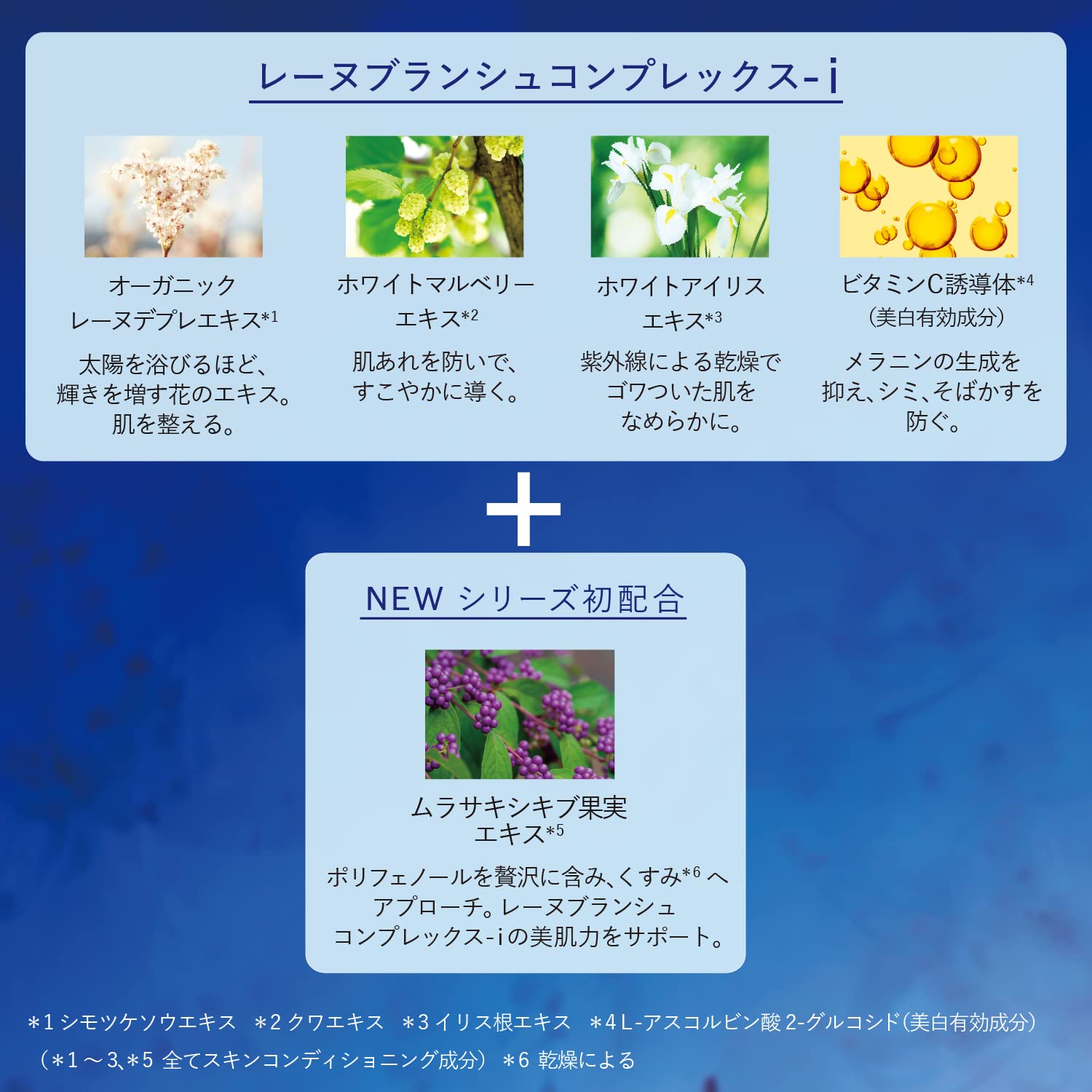 Amazon.co.jp: ロクシタン(L'OCCITANE) レーヌブランシュ ターゲ