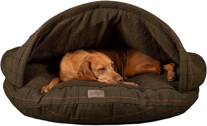 collared dog beds