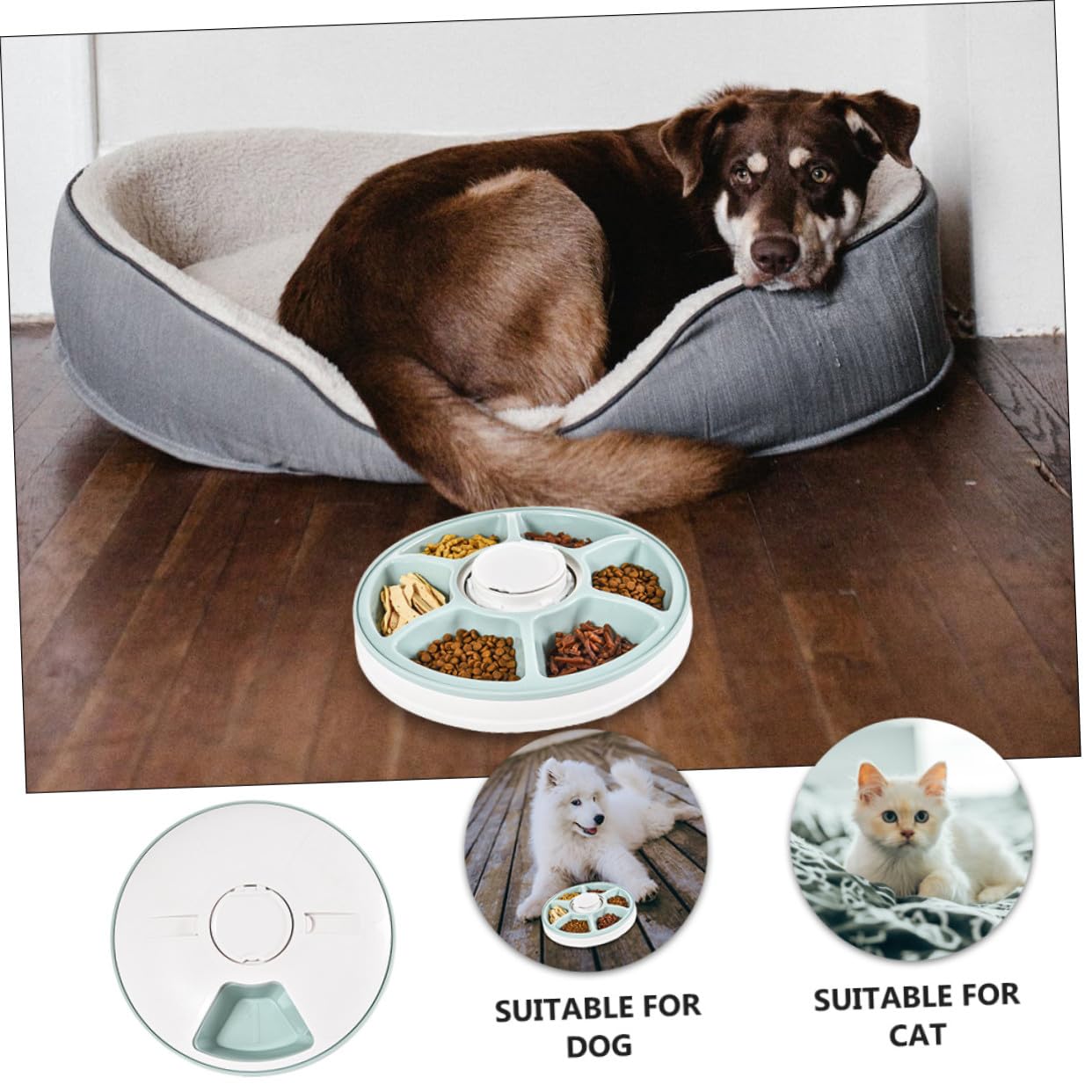Comedero Automático Fácil de Limpiar y Ahorro de Espacio para Perros y Gatos 6 Comidas Programables Temporizador Inteligente Material Abs Verde Adecuado para Colocar Esquina