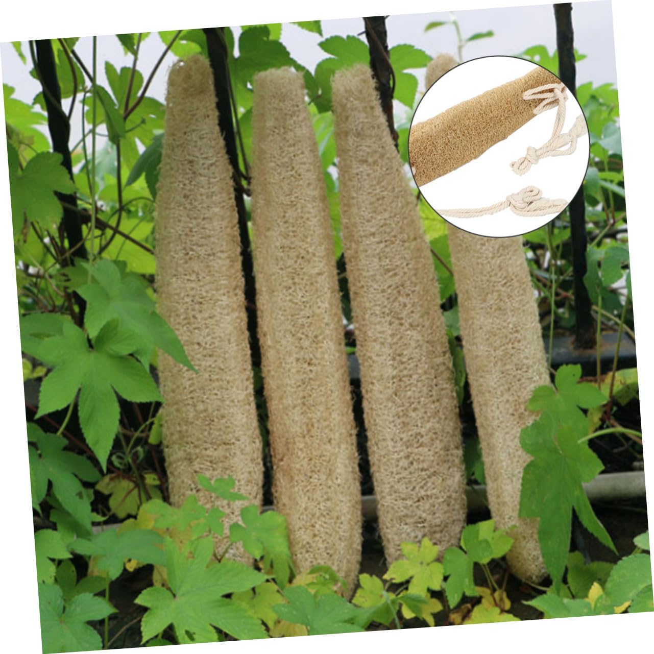MAGICLULU 3St Luffa-Badetuch exfoliating sponge massage bürste ideas Dusch-Luffa-Peeling Körperwäsche nativ Badeschwamm Schwämme Waschband Rückenwäscher doppelseitig Schrubben Wanne