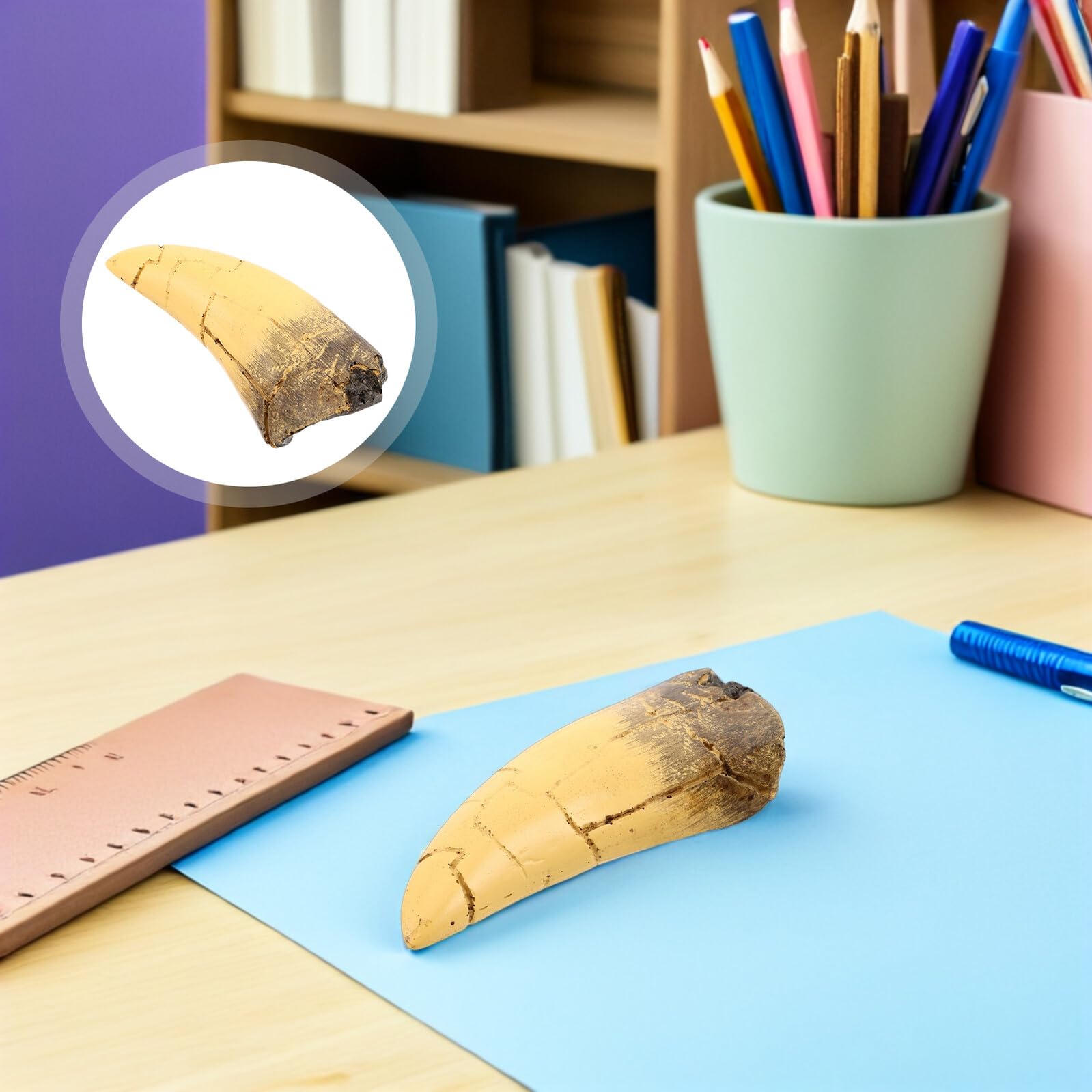 Scultura Realistica di Dente di Dinosauro in Resina Aspetto Preistorico Distintivo, Decorazione per Feste a Tema Dinosauri e Display Educativi Interattivi