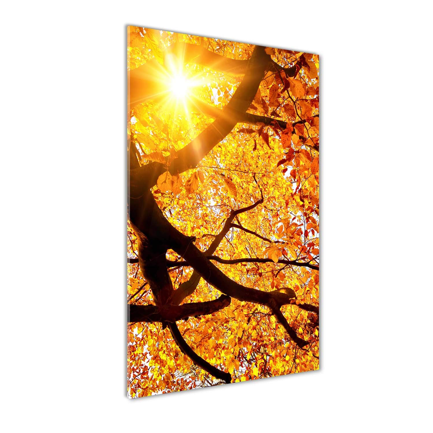 Image sur Plexiglas arbre automnal orange 70x140 pour salon