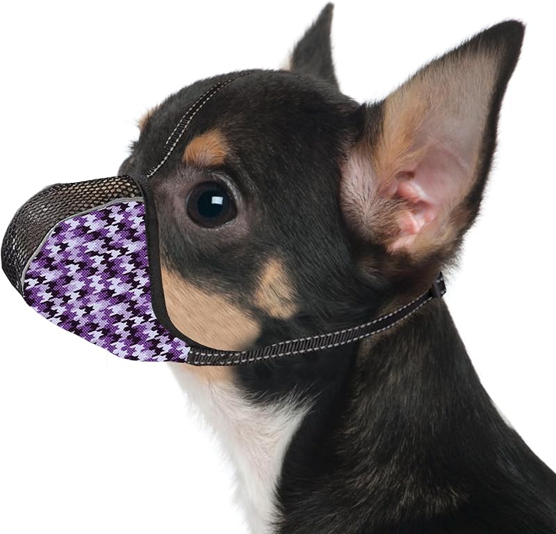Focinheira para Cães JOYPAWS com Malha Respirável e Faixa Refletiva GZT003-Purple-XS