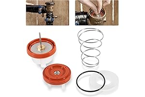 Wilkins 720A Pressure Vacuum Breaker Repair Kit