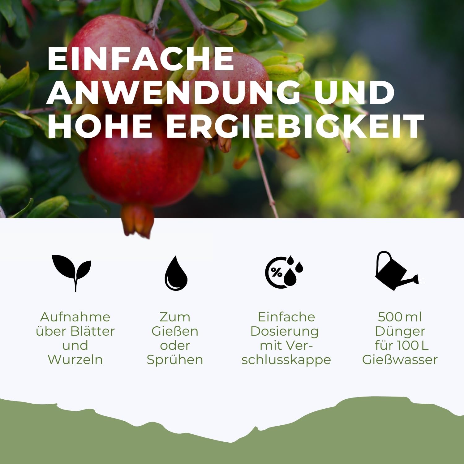 Flora Boost Granatapfelbaum Dünger 5000ml - Für bis zu 1000L Gießwasser - Obstbaum Dünger für Granatapfel Pflanzen - Flüssiger Blatt- & Wurzeldünger - 100% natürlicher Pflanzendünger