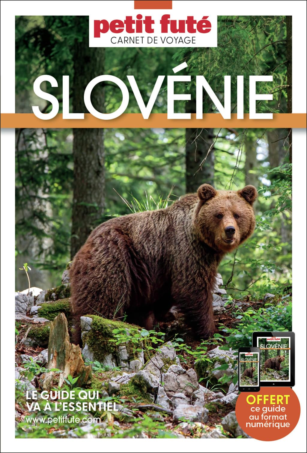 Guide Slovénie 2026 Carnet Petit Futé (2026)